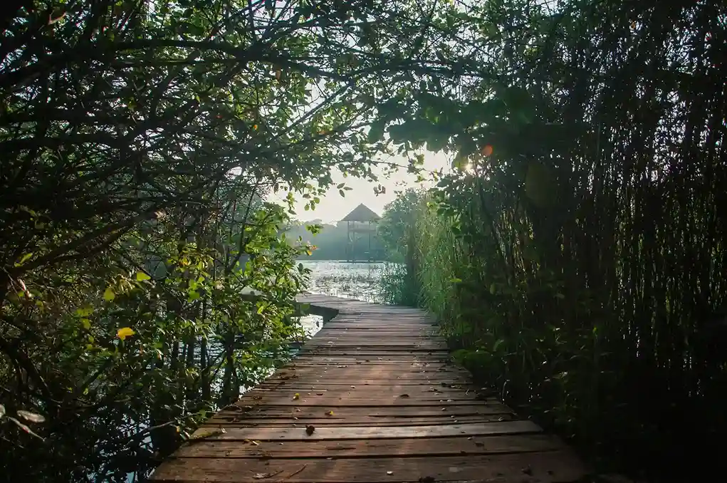 Madu River Boat Safari